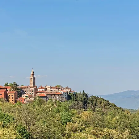 Royal - Happy * Labin (Istria)
